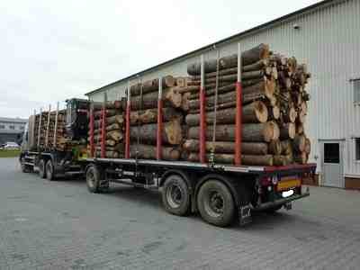 transport drewna 2